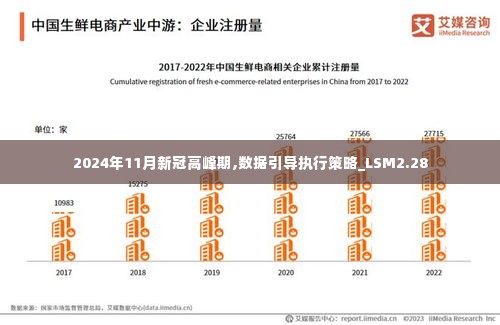 2024年11月新冠高峰期,数据引导执行策略_LSM2.28