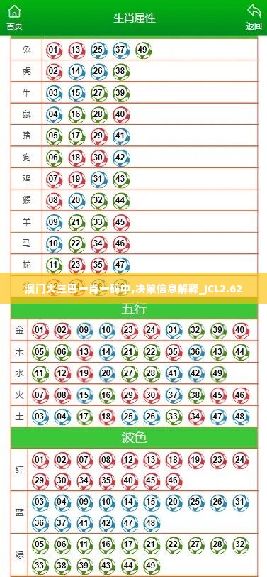 澳门大三巴一肖一码中,决策信息解释_JCL2.62