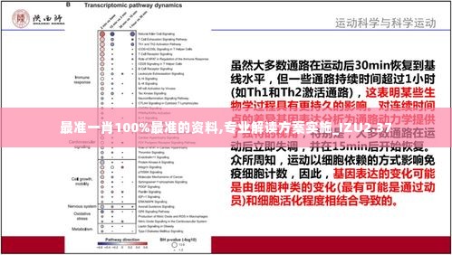 最准一肖100%最准的资料,专业解读方案实施_IZU2.37