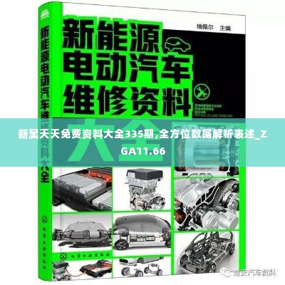 新奥天天免费资料大全335期,全方位数据解析表述_ZGA11.66