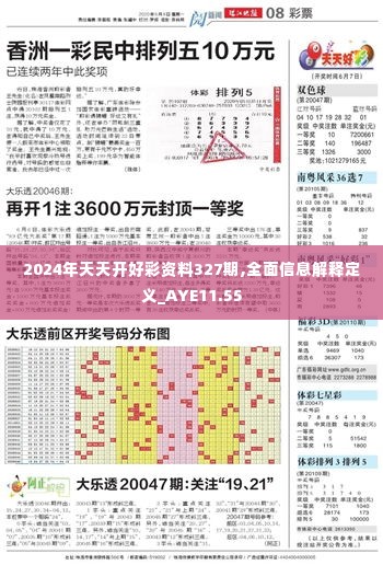 2024年天天开好彩资料327期,全面信息解释定义_AYE11.55