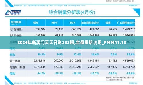 2024年新澳门天天开彩332期,全盘细明说明_PMM11.13