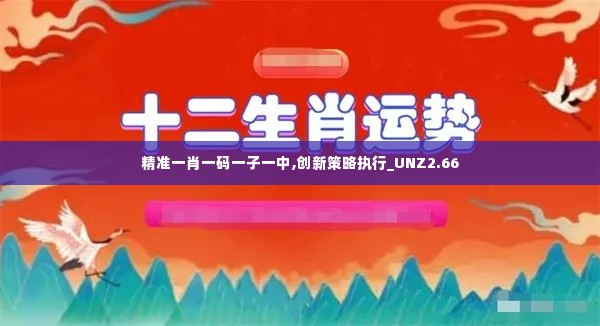 精准一肖一码一子一中,创新策略执行_UNZ2.66