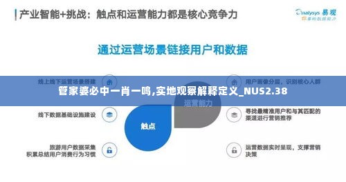 管家婆必中一肖一鸣,实地观察解释定义_NUS2.38