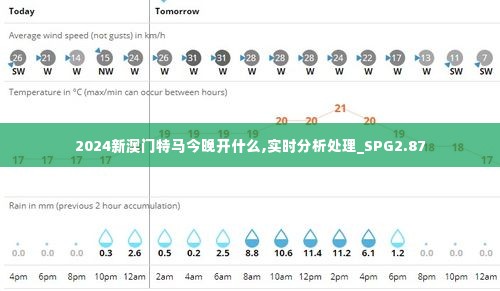 2024新澳门特马今晚开什么,实时分析处理_SPG2.87