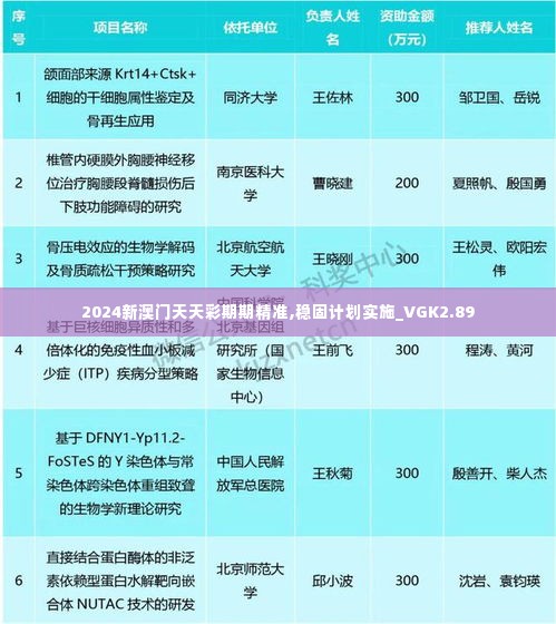 2024新澳门天天彩期期精准,稳固计划实施_VGK2.89