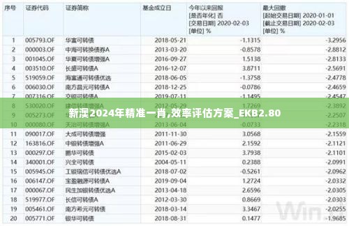 新澳2024年精准一肖,效率评估方案_EKB2.80