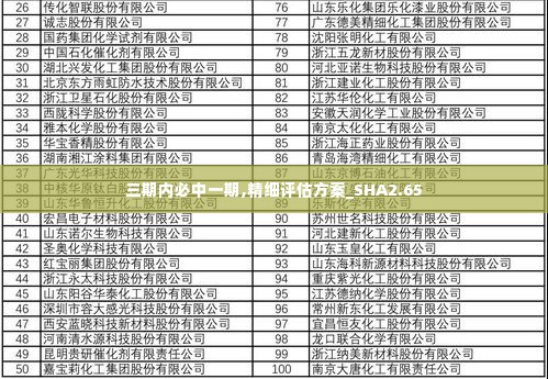 三期内必中一期,精细评估方案_SHA2.65