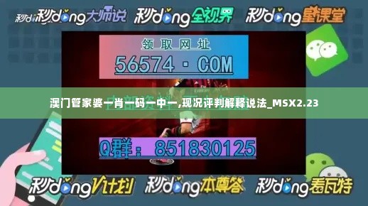 澳门管家婆一肖一码一中一,现况评判解释说法_MSX2.23