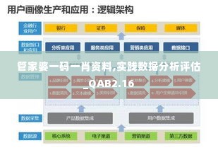 管家婆一码一肖资料,实践数据分析评估_QAB2.16