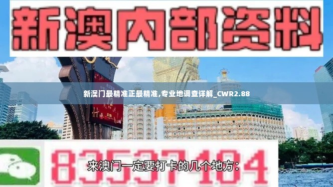 新澳门最精准正最精准,专业地调查详解_CWR2.88