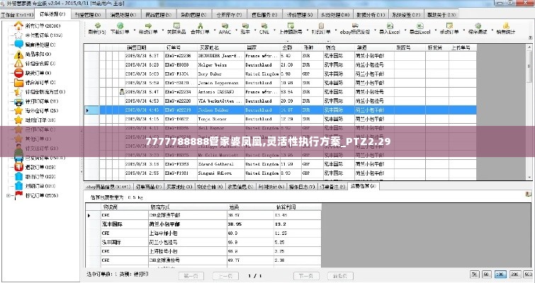 7777788888管家婆凤凰,灵活性执行方案_PTZ2.29