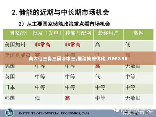 黄大仙三肖三码必中三,推动策略优化_OGF2.30