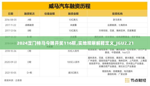 2024澳门特马今晚开奖116期,实地观察解释定义_JGU2.21