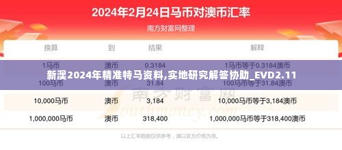 新澳2024年精准特马资料,实地研究解答协助_EVD2.11