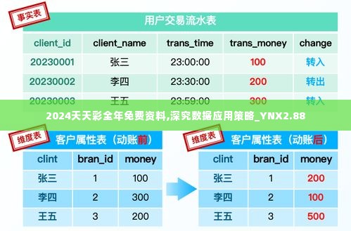 2024天天彩全年免费资料,深究数据应用策略_YNX2.88