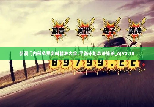 新澳门内部免费资料精准大全,平衡计划息法策略_AJY2.18