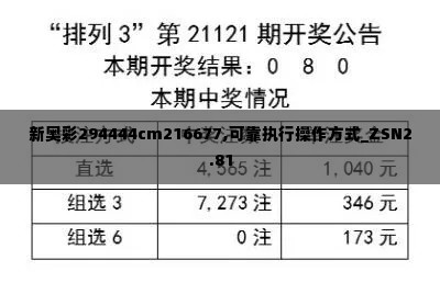 新奥彩294444cm216677,可靠执行操作方式_ZSN2.81