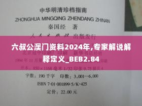 六叔公澳门资料2024年,专家解说解释定义_BEB2.84