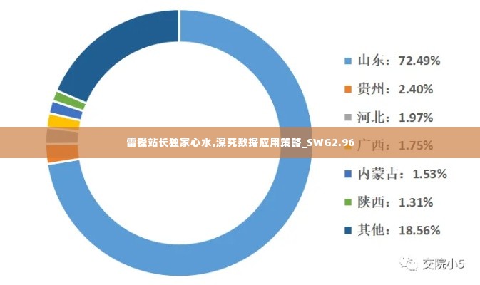 雷锋站长独家心水,深究数据应用策略_SWG2.96