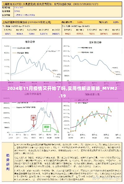 2024年11月疫情又开始了吗,实用性解读策略_MYM2.19