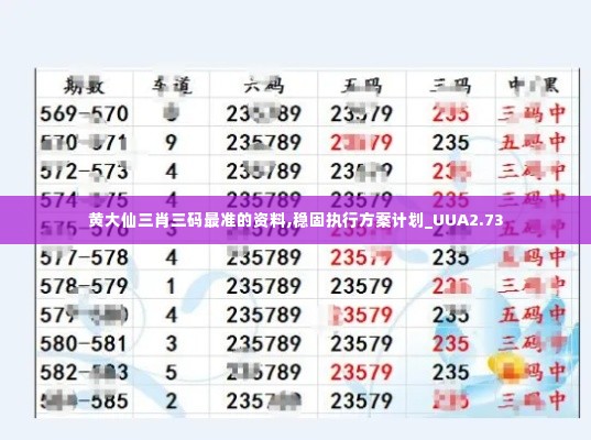 黄大仙三肖三码最准的资料,稳固执行方案计划_UUA2.73