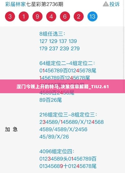 澳门今晚上开的特马,决策信息解释_TIU2.61