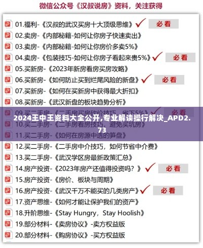 2024王中王资料大全公开,专业解读操行解决_APD2.73