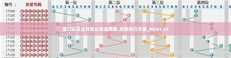 澳门彩历史开奖结果走势图,高效执行方案_HGV2.65