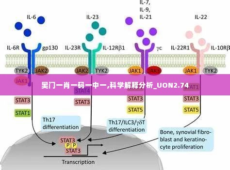 奥门一肖一码一中一,科学解释分析_UON2.74