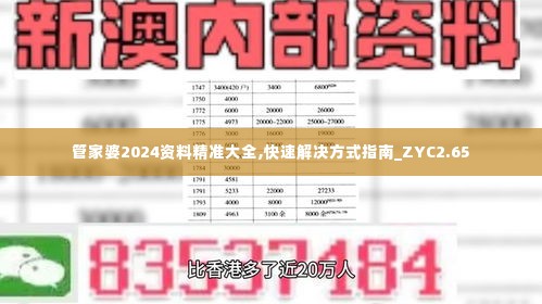 管家婆2024资料精准大全,快速解决方式指南_ZYC2.65