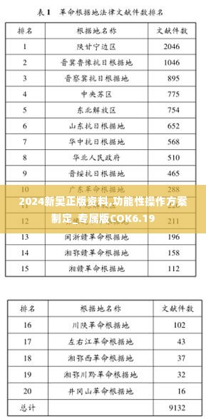 2024新奥正版资料,功能性操作方案制定_专属版COK6.19