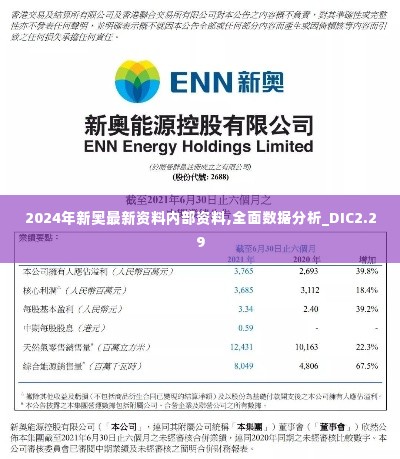 2024年新奥最新资料内部资料,全面数据分析_DIC2.29