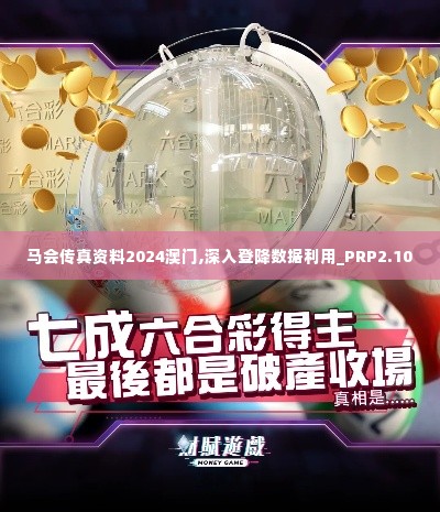 马会传真资料2024澳门,深入登降数据利用_PRP2.10