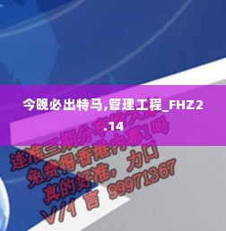 今晚必出特马,管理工程_FHZ2.14