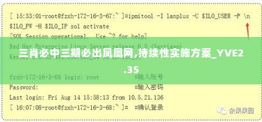 三肖必中三期必出凤凰网,持续性实施方案_YVE2.35