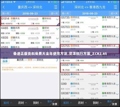 香港正版资料免费大全年使用方法,灵活执行方案_ZCR2.65