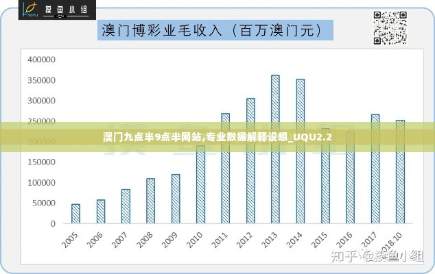 澳门九点半9点半网站,专业数据解释设想_UQU2.2