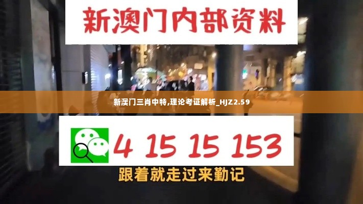 新澳门三肖中特,理论考证解析_HJZ2.59