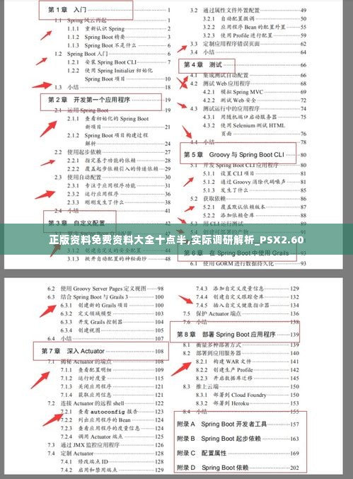 正版资料免费资料大全十点半,实际调研解析_PSX2.60