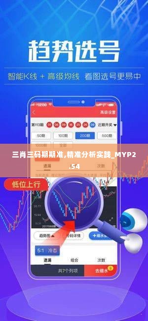 三肖三码期期准,精准分析实践_MYP2.54