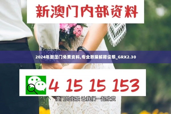 2024年新澳门免费资料,专业数据解释设想_GRX2.30