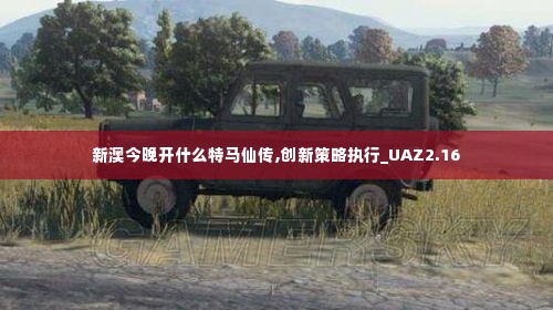 新澳今晚开什么特马仙传,创新策略执行_UAZ2.16