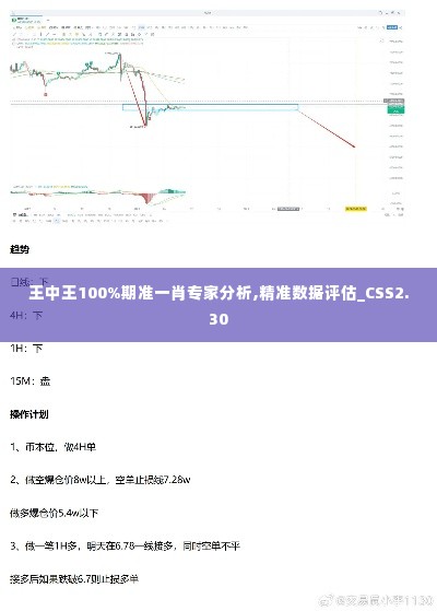 王中王100%期准一肖专家分析,精准数据评估_CSS2.30