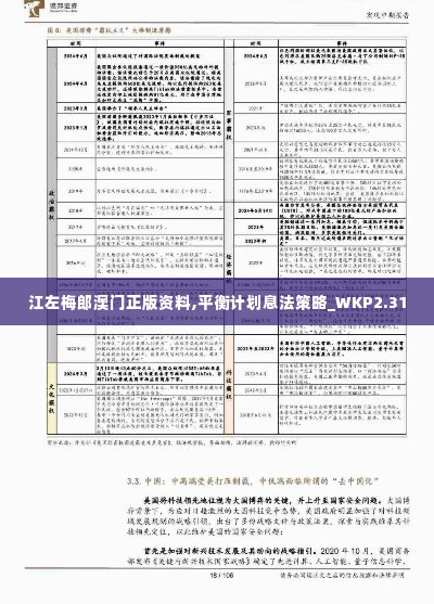 江左梅郎澳门正版资料,平衡计划息法策略_WKP2.31