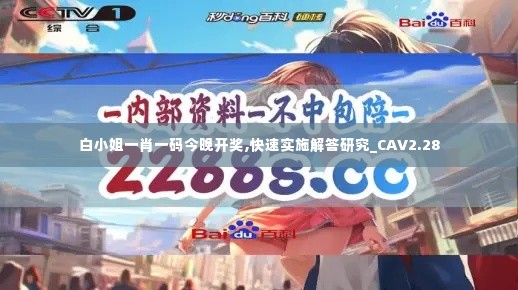 白小姐一肖一码今晚开奖,快速实施解答研究_CAV2.28