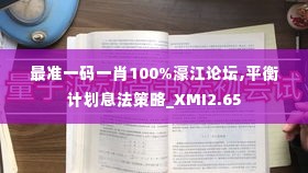 最准一码一肖100%濠江论坛,平衡计划息法策略_XMI2.65