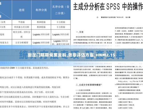 新澳门期期免费资料,效率评估方案_HNM2.15