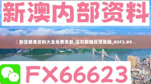 新澳精准资料大全免费更新,深究数据应用策略_RSF2.89