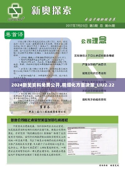 2024新奥资料免费公开,精细化方案决策_LIU2.22